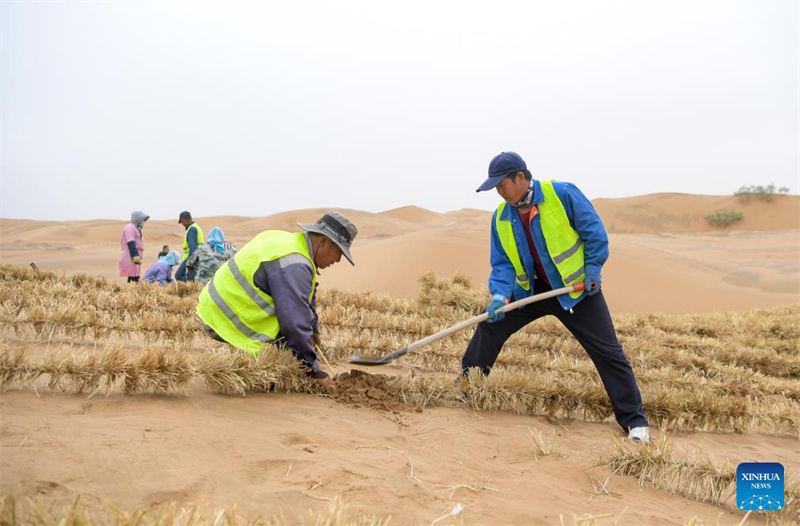 Ferramentas e tecnologias inovadoras contribuem para o controle de areia no noroeste da China