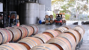 Vinho australiano pauta evolução do comércio sino-australiano




O Ministério do Comércio da China anunciou no final de março o levantamento das tarifas anti-dumping e anti-subsídios sobre o vinho australiano.
 