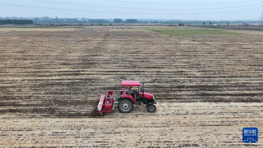 China inicia alta temporada de semeadura de verão