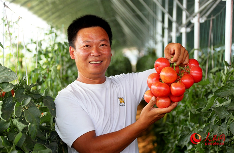 Investir em Henan: agricultura possibilita geração de riqueza para população geral