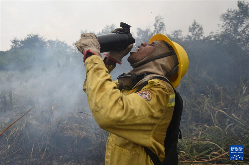 Brasil: Corpo de Bombeiros realiza combate aos incêndios no Pantanal