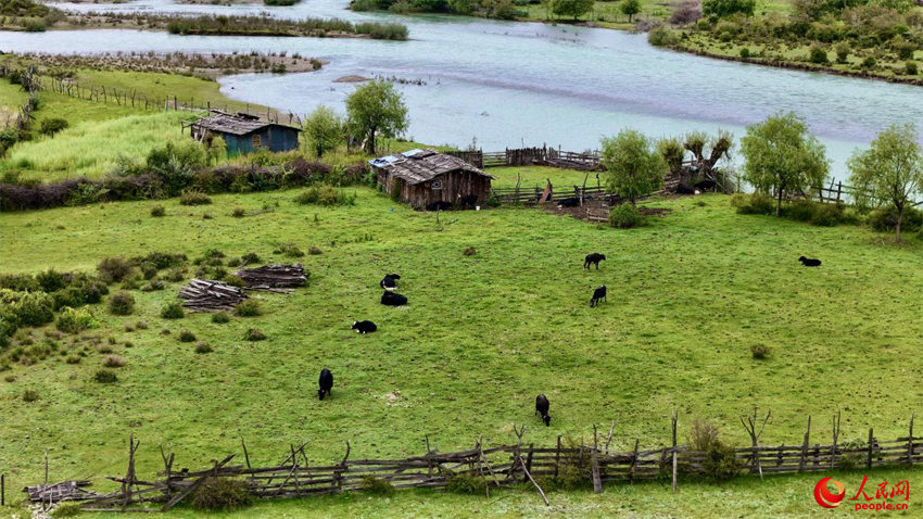 Galeria: Parque Nacional de Pantanais de Yani