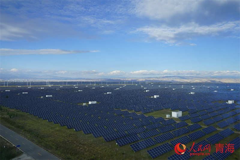 Qinghai: exploração de energia solar dá origem a ecossistema peculiar