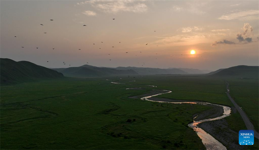 Uma olhada da barreira de segurança ecológica no norte da China