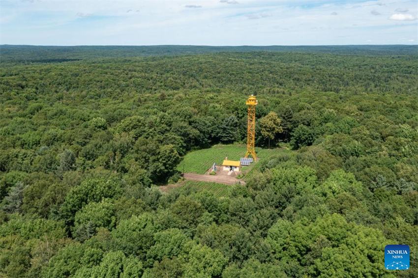 Uma olhada da barreira de segurança ecológica no norte da China