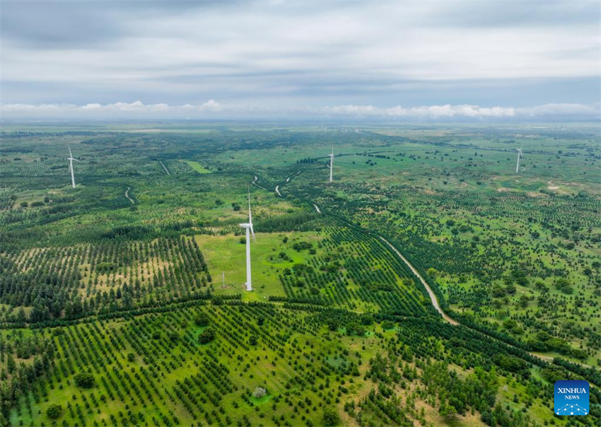 Uma olhada da barreira de segurança ecológica no norte da China