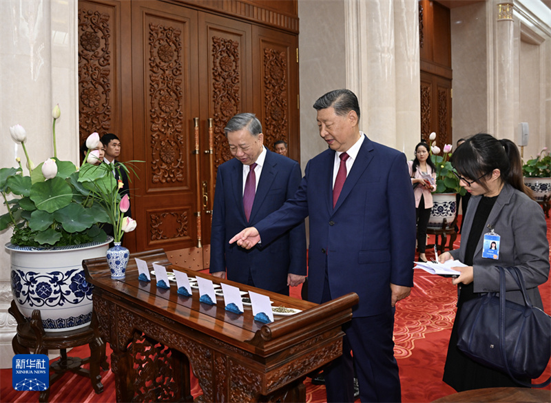 Xi Jinping conversa com o mais alto líder do Vietnã, To Lam, em Beijing