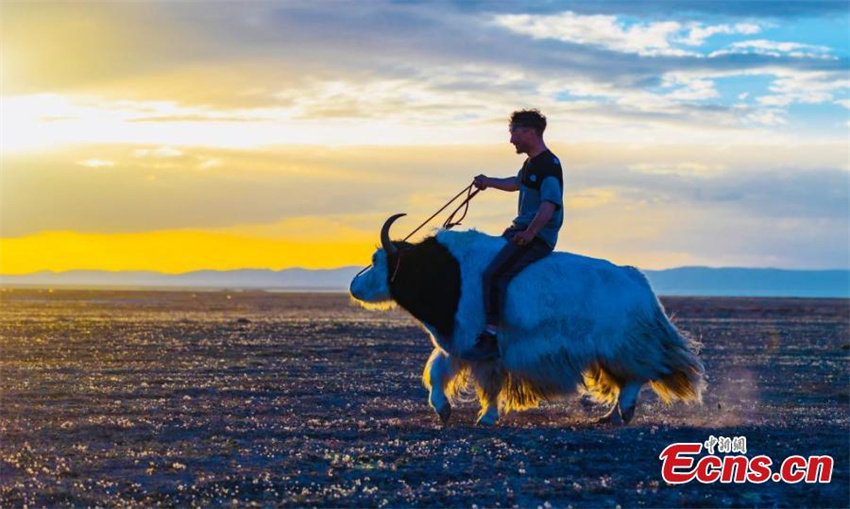 Festival de corrida de iaques é celebrado em Qinghai