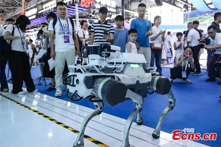 Exposição Internacional de Big Data 2024 inaugurada em Guizhou