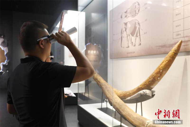 Museu de Zhengzhou: tecnologia digital confere nova vida às exposições