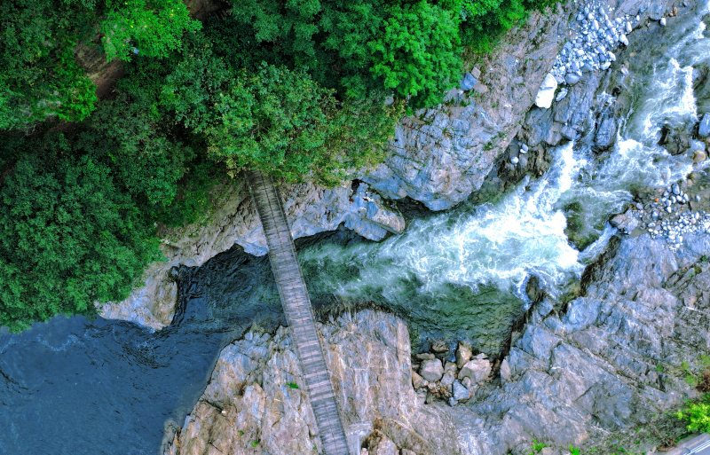 Fazenda Florestal Houzhenzi: "corredor ecológico" do noroeste da China