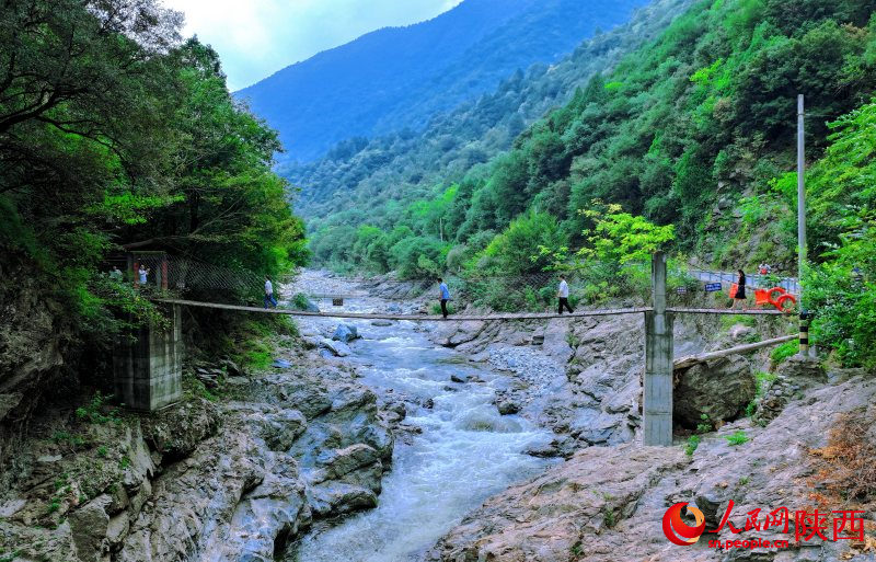 Fazenda Florestal Houzhenzi: 