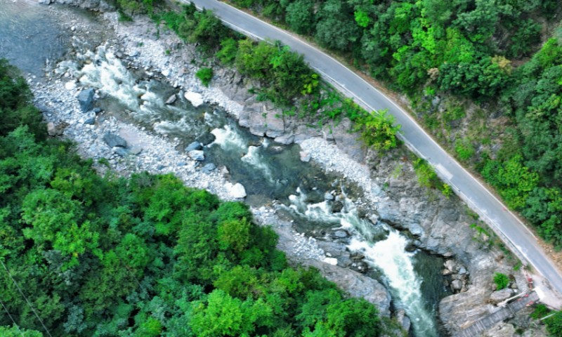 Fazenda Florestal Houzhenzi: 