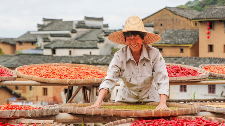 7º Festival da Colheita dos Agricultores Chineses é celebrado em toda a China