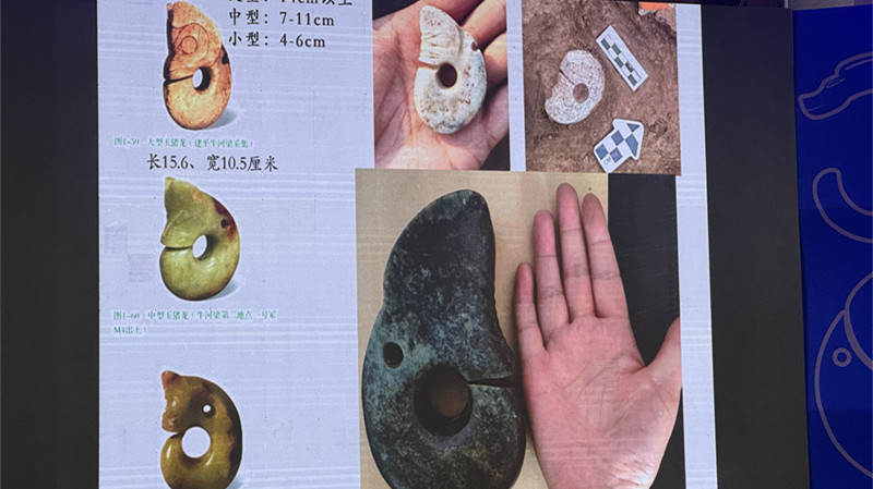 Maior dragão de jade da cultura Hongshan é encontrado no norte da China




Arqueólogos chineses desenterraram o maior dragão de jade já descoberto da cultura Hongshan, uma parte importante da Era Neolítica, em uma tumba de pedra na cidade de Chifeng.

 