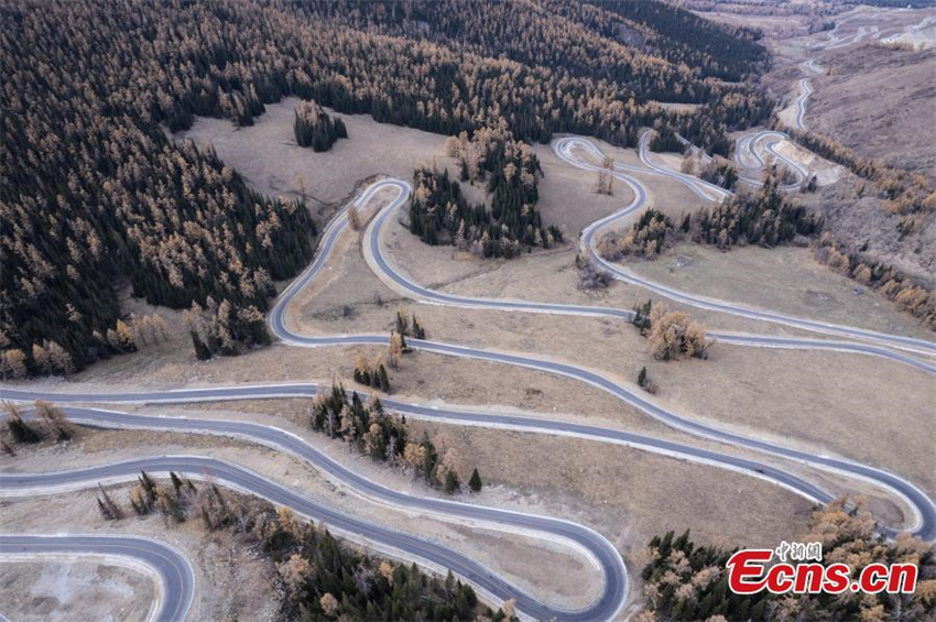 Vista aérea da estrada em ziguezague que liga a cidade de Altay e a área turística de Kanas na estrada da vila de Hemu na prefeitura de Altay da Região Autônoma Uigur de Xinjiang, no noroeste da China, em 7 de outubro de 2024. 