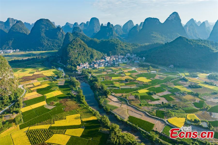 Galeria: paisagem de arrozais em Guangxi