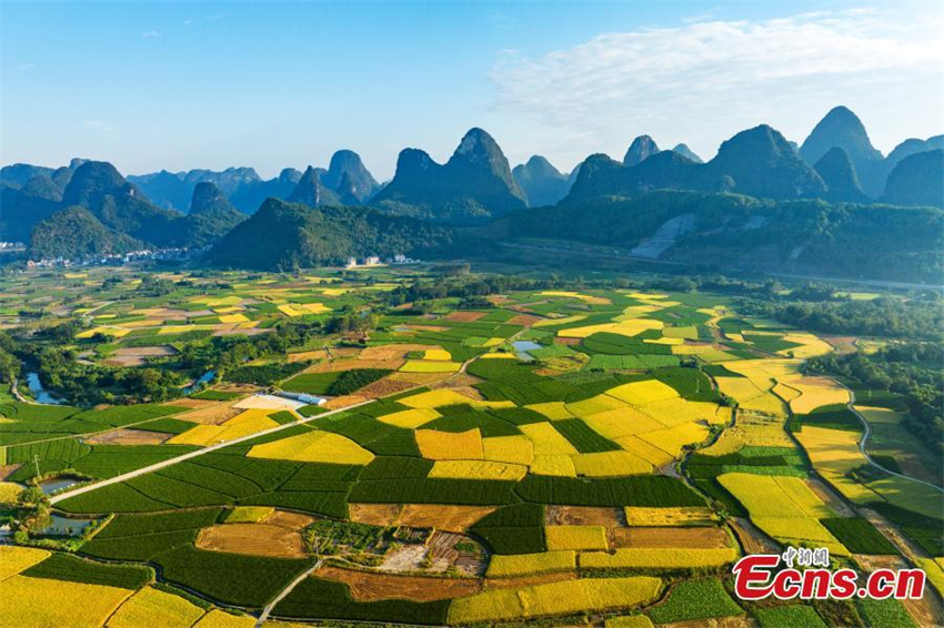 Galeria: paisagem de arrozais em Guangxi