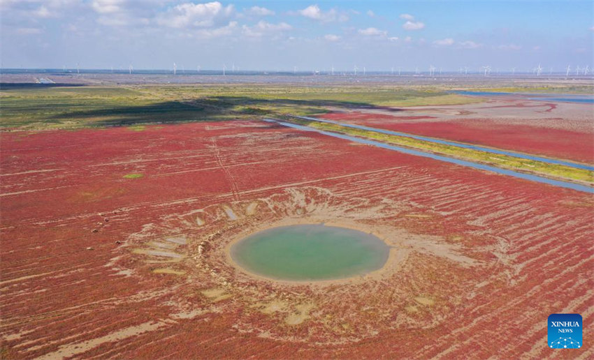 Galeria: vista aérea da zona úmida de Tiaozini em Yancheng, Jiangsu