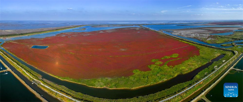 Galeria: vista aérea da zona úmida de Tiaozini em Yancheng, Jiangsu