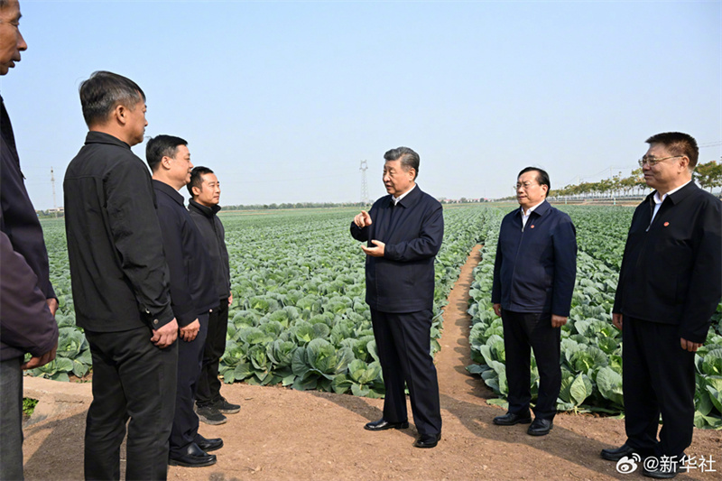 Xi Jinping pede aceleração da vitalização rural