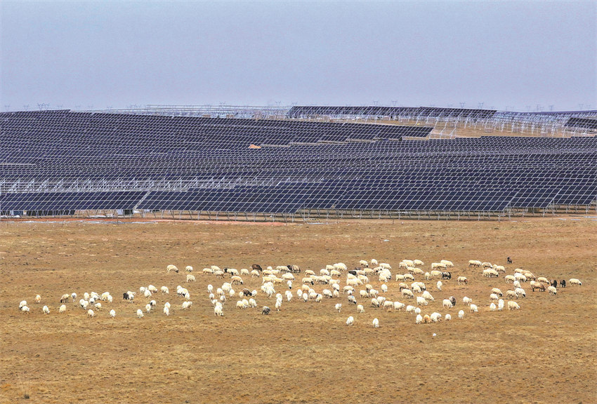 Uma usina de geração de energia fotovoltaica se espalha pela pradaria na de Otog, na cidade de Ordos, Região Autônoma da Mongólia Interior, em novembro do ano passado. (Foto: Wang Zheng/Xinhua)