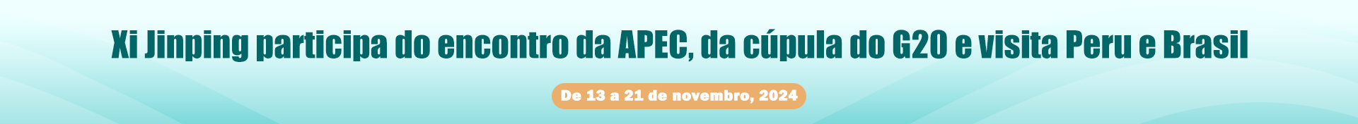 APEC e G20