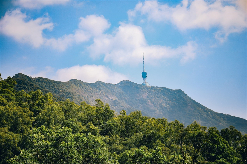 Monte Wutong: pico mais alto de Shenzhen e um refúgio de beleza natural