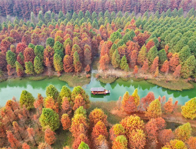 Suqian, leste da China, recorre a recursos ecológicos para apoiar revitalização rural e turismo sustentável