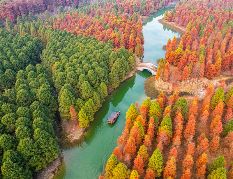 Suqian, leste da China, recorre a recursos ecológicos para apoiar revitalização rural e turismo sustentável