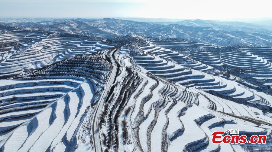 Campos em terraços cobertos de neve se assemelham às 