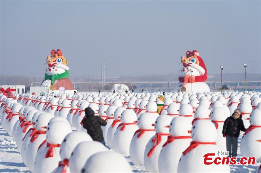 Novos bonecos de neve atraem atenção em Harbin