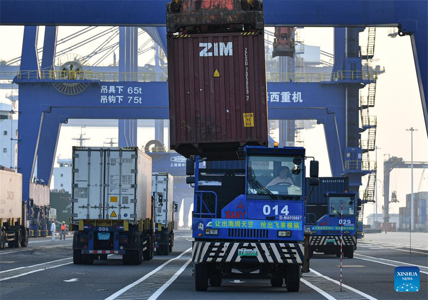 Hainan: movimentação anual de contêineres do porto de Yangpu registra aumento anual de 9,2%