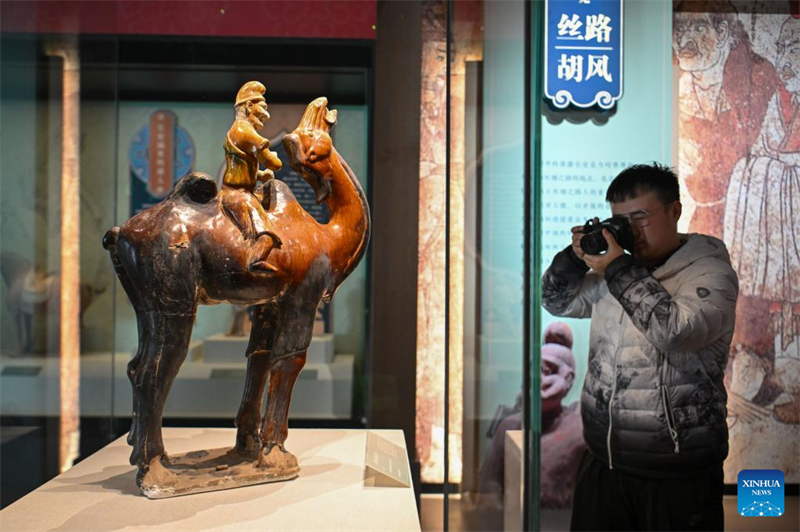 Exposição de relíquias culturais da dinastia Tang em Shaanxi é inaugurada em Tianjin