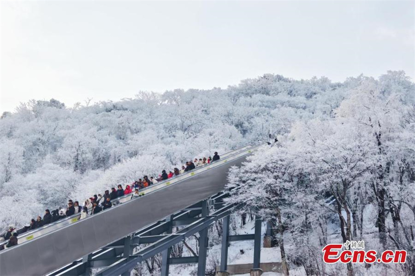 Galeria: paisagem de neve na montanha Longtou em Hanzhong