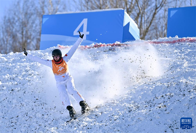 China conquista ouro na final de equipes mistas do aerials de esqui estilo livre