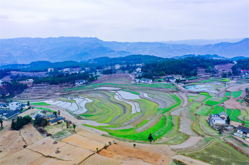 Galeria: regiões agrícolas de guizhou acumulam água para a primavera, no sudoeste da China