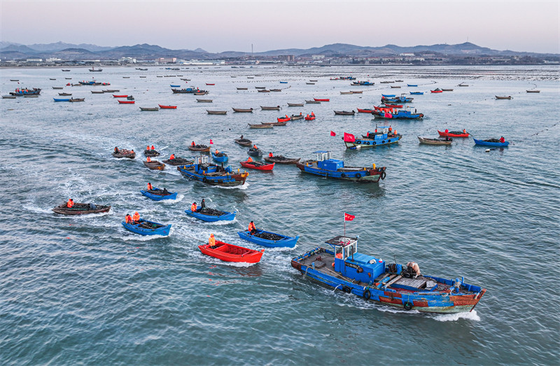 Aquicultura no leste da China registra níveis elevados de produção