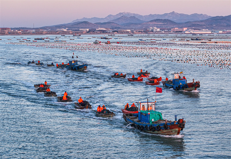 Aquicultura no leste da China registra níveis elevados de produção