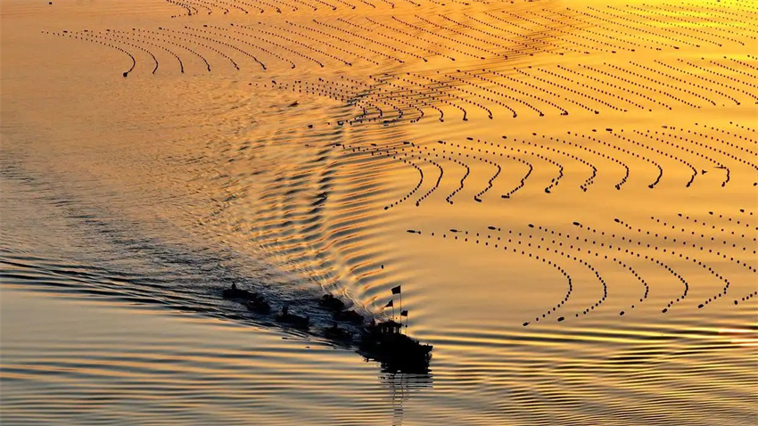 Estação agrícola da primavera avança em toda a China