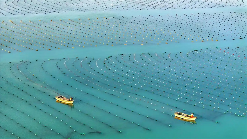 Estação agrícola da primavera avança em toda a China