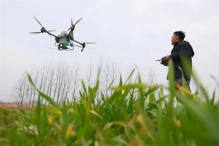 Estação agrícola da primavera avança em toda a China