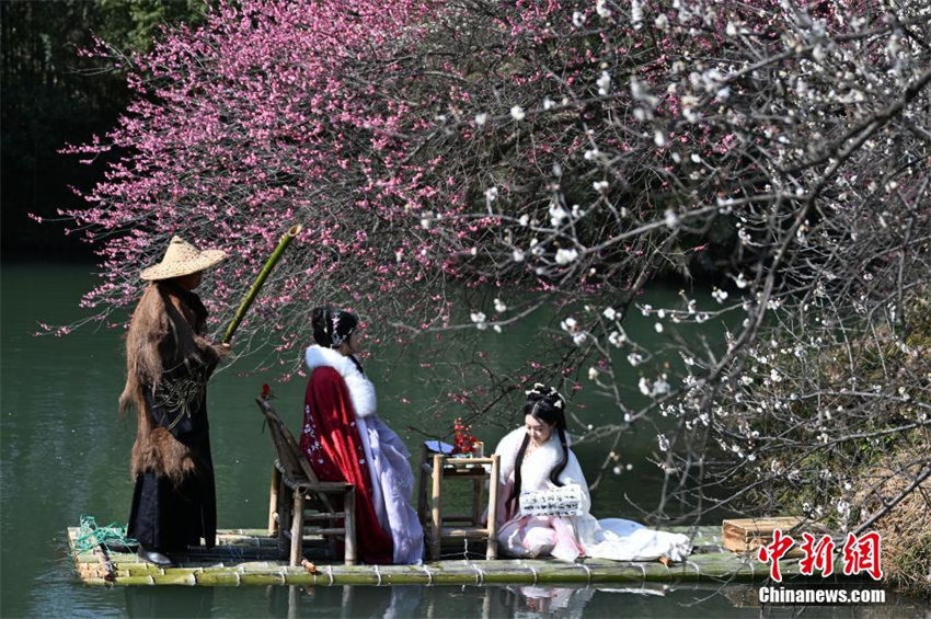 Galeria: flores de ameixeira florescem em Zhejiang, leste da China