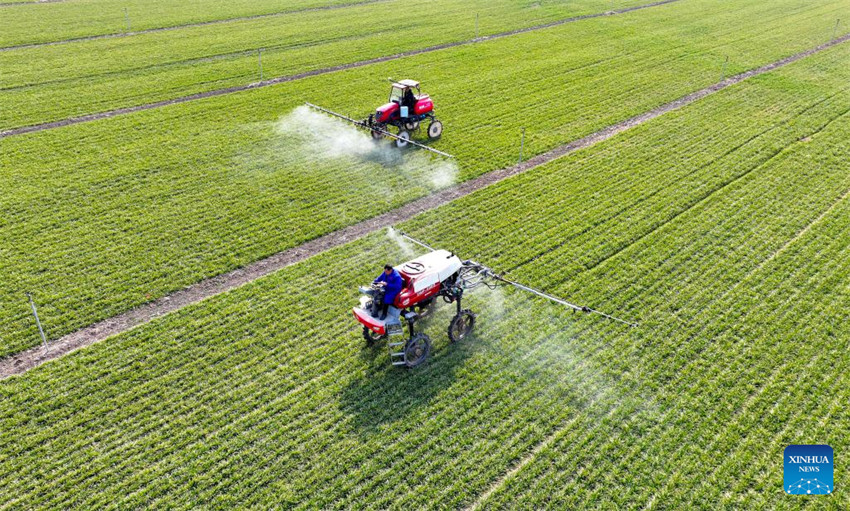 Atividades agrícolas em pleno andamento em toda a China