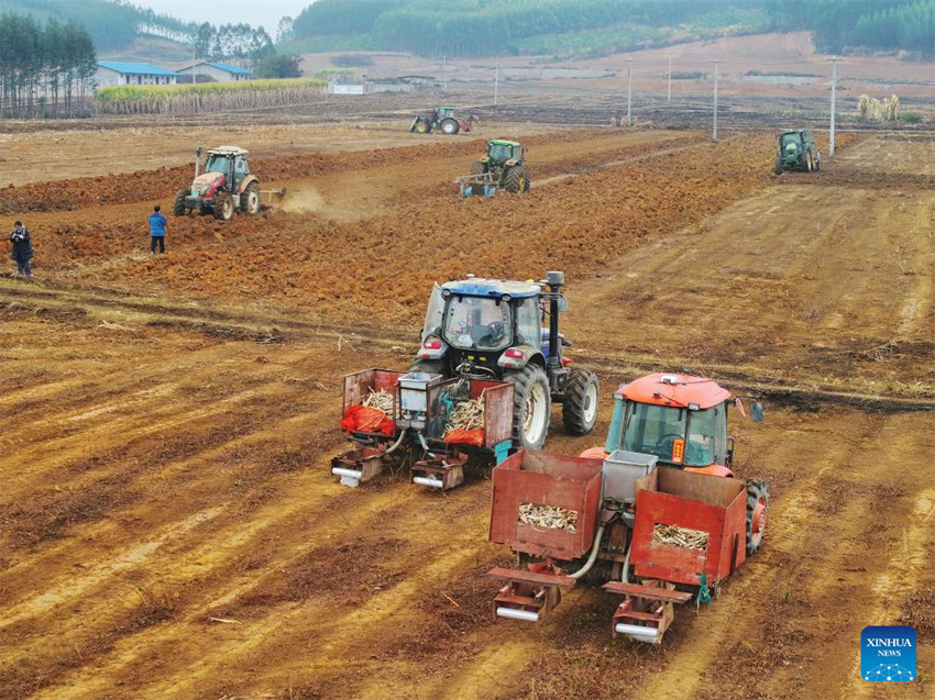 Atividades agrícolas em pleno andamento em toda a China