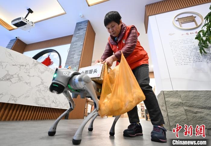 Hangzhou: cão robótico inicia serviço comunitário