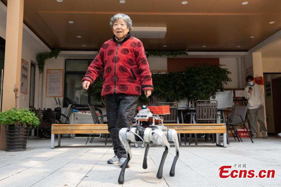 Cães-robôs auxiliam em centro de cuidados para idosos em Hangzhou, leste da China