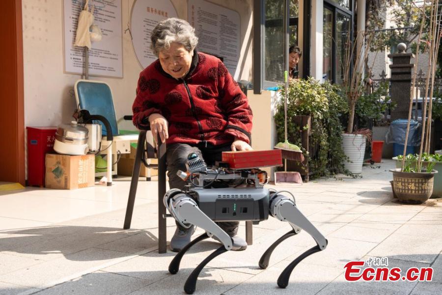 Cães-robôs auxiliam em centro de cuidados para idosos em Hangzhou, leste da China