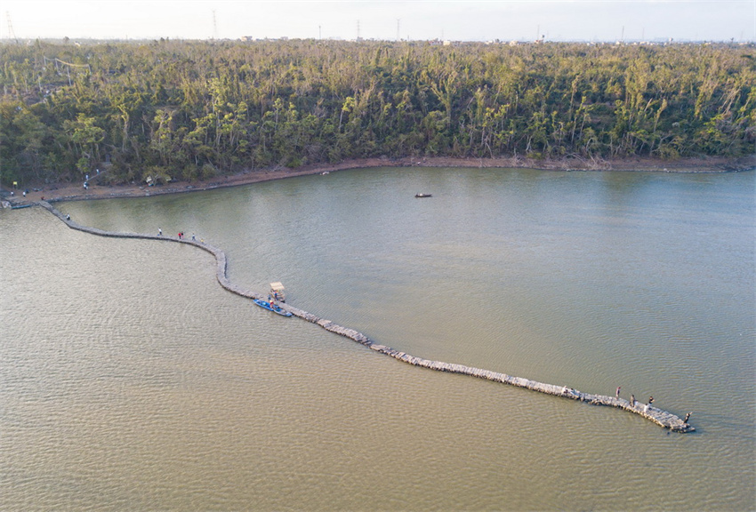 Haikou: ponte da serpente exposta após queda de nível de água atrai visitantes