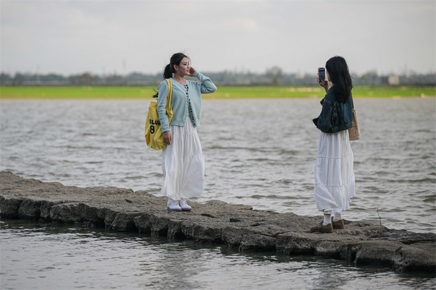 Haikou: ponte da serpente exposta após queda de nível de água atrai visitantes